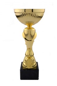 Cupe Sportive CE 23